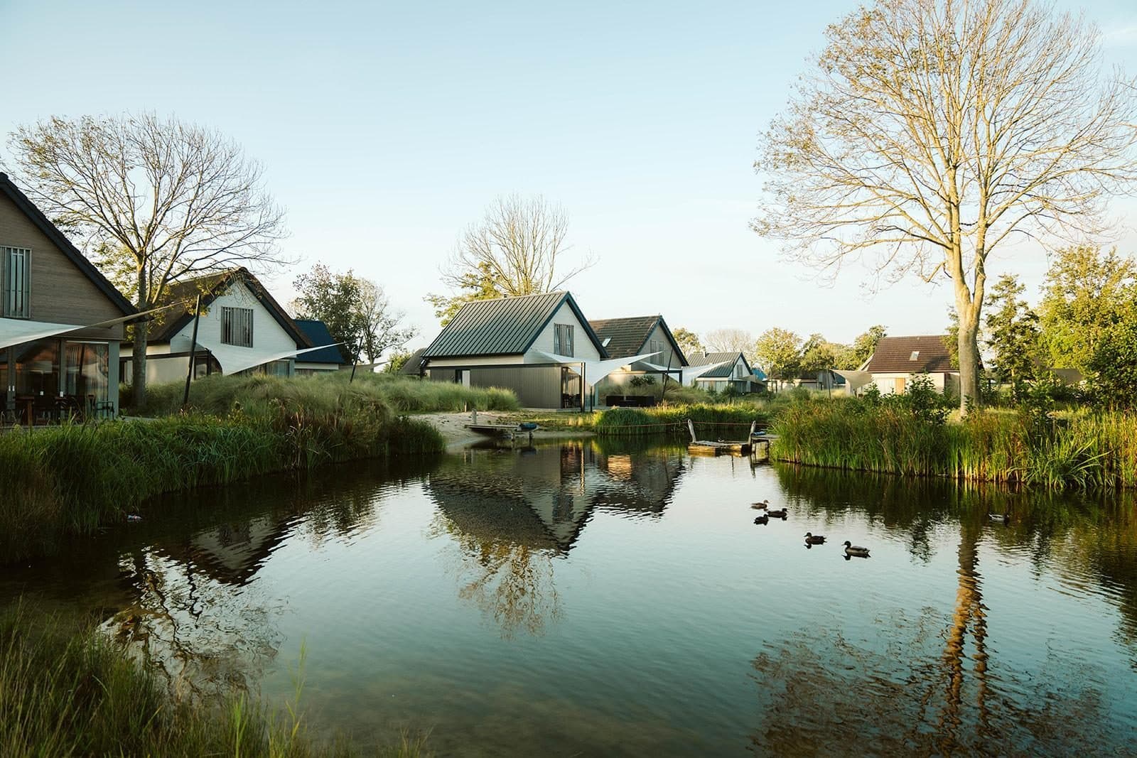 Ferienpark mit Hund in Holland: Die besten Parks am Meer und in der Natur