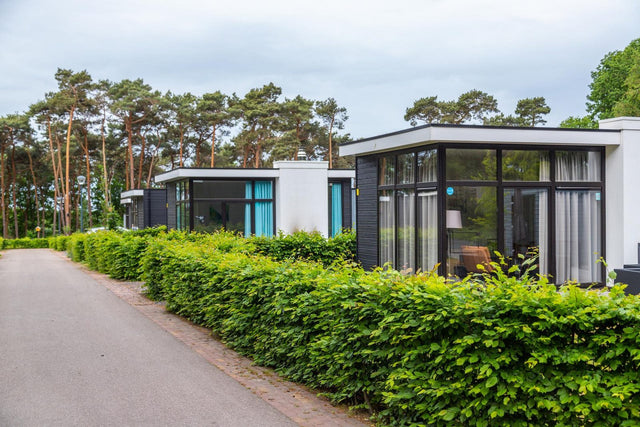 Urlaub in Limburg: Die 8 schönsten Ferienparks für eine unvergessliche Auszeit