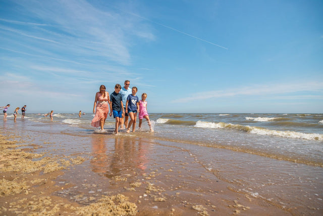 Dein perfektes Ferienhaus in Nordholland: Die besten Parks für jeden Urlaubstyp