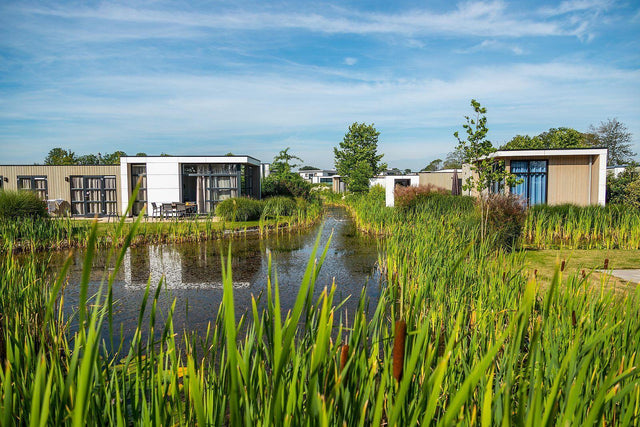 Dein Traum-Ferienhaus am Meer in Holland: Der ultimative Guide für die Küste